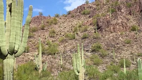 Sawtooth Mtn. Pullback 스톡 동영상 190034632