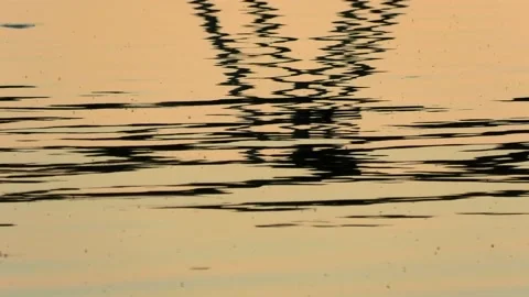 Saxnäs on Öland has a campsite with a view of Kalmarsund and wonderful nature. Stock Footage 219280779