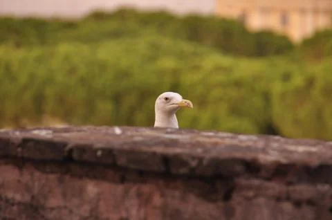 Say hello Stock Photos