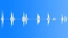 Say what?Sound Effect