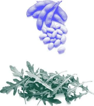 Say4 Stock Illustration