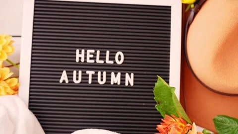 Saying HELLO AUTUMN Selective focus Bush of autumnal orange red chrysanthemums Stock Footage 311800654