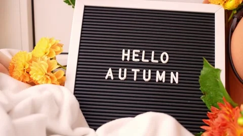 Saying HELLO AUTUMN Selective focus Bush of autumnal orange red chrysanthemums Stock Footage 317632416