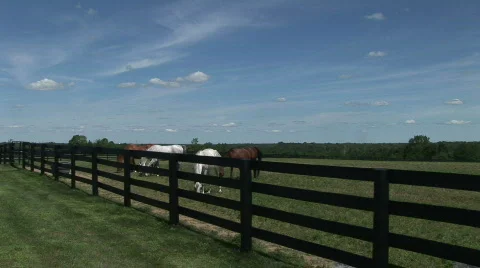 SB02 Stock Footage 524550