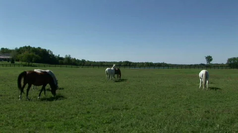 SB09 Stock Footage 524481