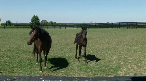 SB10 Stock Footage 524498