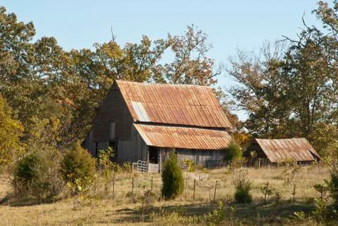 Sc barn 스톡 사진