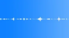 SC Beach RIppling Loop 1 Sound Effect