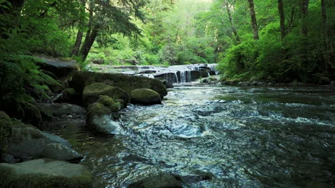 SC FALLS LedgeFalls1 WIDE LOW Video stock 155028919