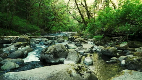 SC FALLS MiscCreek TILT Video stock 155029596