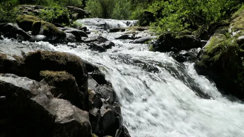 SC FALLS MiscFalls01 Video stock 155029977