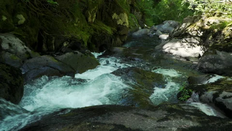 SC FALLS MiscFalls03 Video stock 155030613