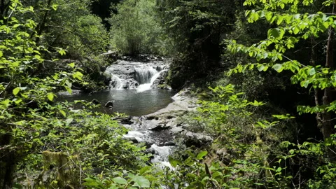 SC FALLS PunchbowlFalls Video stock 155032705