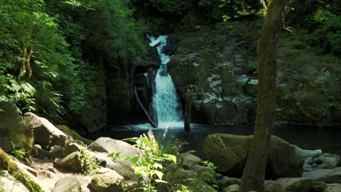 SC FALLS SC Falls MED Video stock 155033939