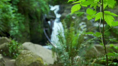 SC FALLS SC Falls TITLE BG Video stock 155035190