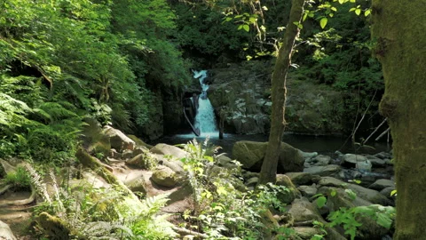 SC FALLS SC Falls WIDE Video stock 155034469