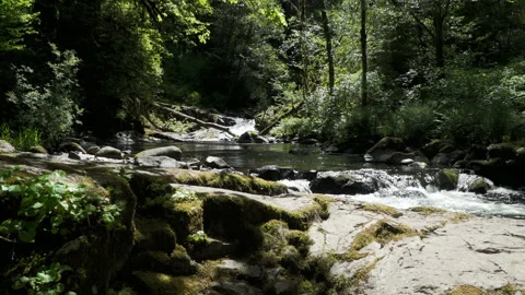 SC FALLS SplitFalls 02 Video stock 155034831