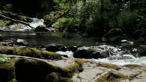 SC FALLS SplitFalls PANwButterfly Video stock 155035484