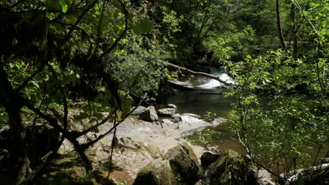 SC FALLS SplitFalls SLIDE L Video stock 155036461