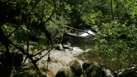 SC FALLS SplitFalls SLIDE R Video stock 155036665