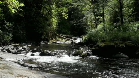 SC FALLS SplitFalls WIDE Video stock 155037077