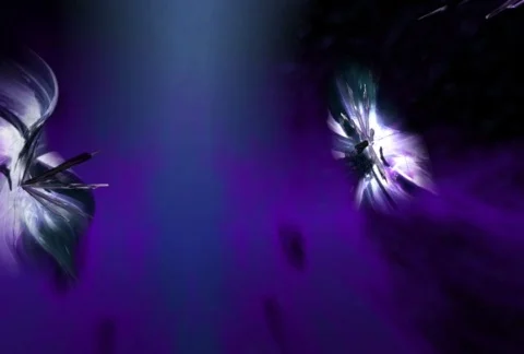 SC3 BK Video stock 372909