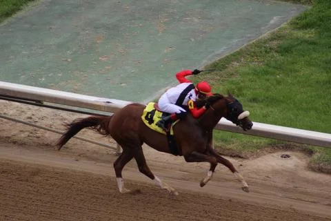 "Scabbard" Comes down final stretch in claiming race Stock Photos