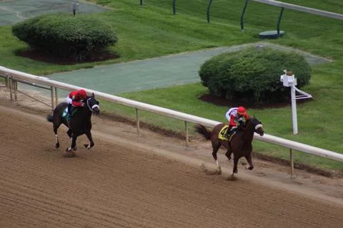 "Scabbard" comes first down final strech in claiming race Stock Photos