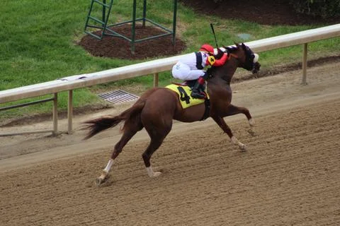 "Scabbard" runs down final stretch in claiming race Stock Photos