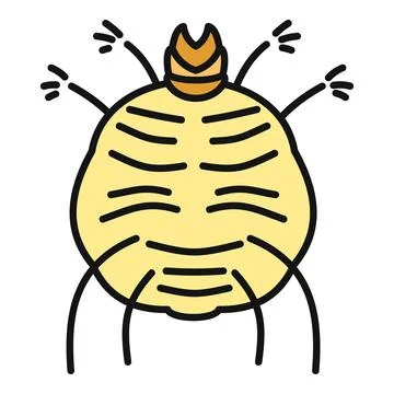 Scabies mite causing skin irritation and infestation Stock Illustration