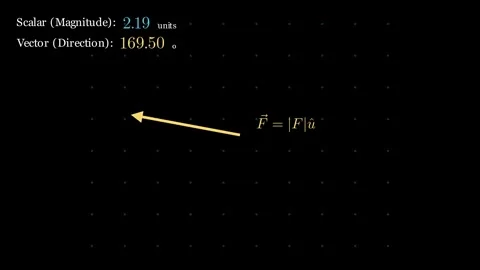 Scalar and vector quantities 스톡 동영상 335035775