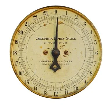 Scale Face Fotos de archivo