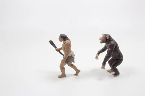 A scale of figure of Human Evolution Stock Photos