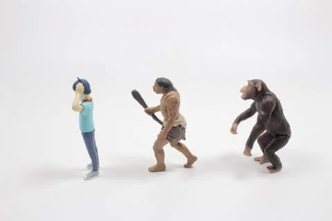 A scale of figure of Human Evolution Stock Photos