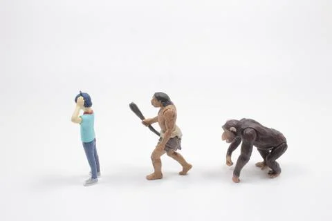 A scale of figure of Human Evolution Stock Photos