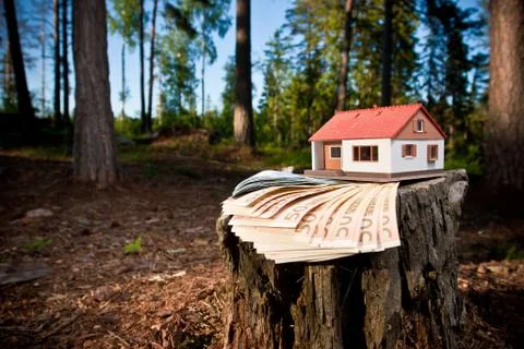 A scale model of the house Foto stock