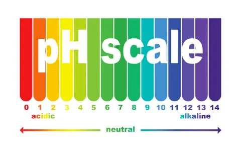 Scale of ph value for acid and alkaline solutions, infographic acid-base balance Stock Illustration