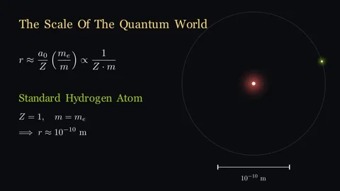 The Scale of the quantum world 動画素材 338446187
