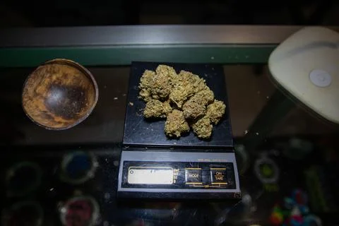 A scale with raw marijuana weighed in a coffe shop. Foto stock