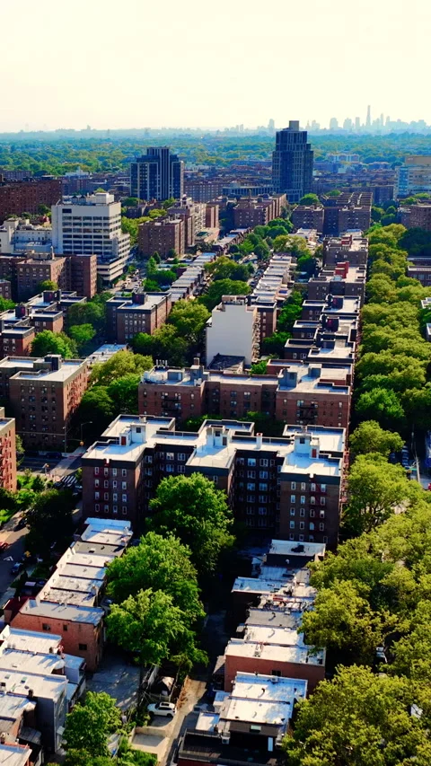 Scale of residential rooftops and trees, Queens, New York Vertical video. Stock Footage 342273743