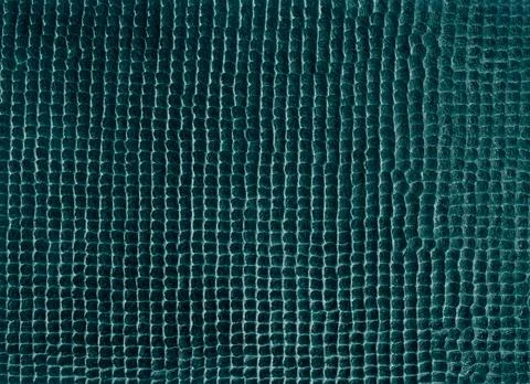 Scale texture abstract background grain texture Stock Illustration