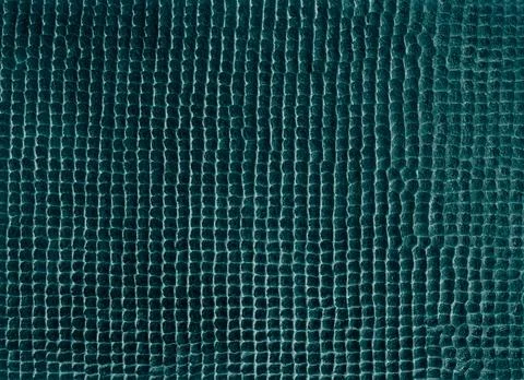 Scale texture abstract background grain texture Stock Illustration