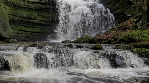 Scaleber Force slow motion Video stock 123979480