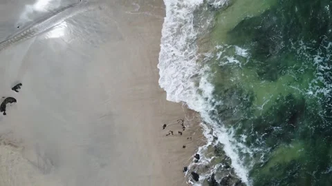Scaling birds-eye view over the Pacific coast of Costa Rica Stock Footage 318534285
