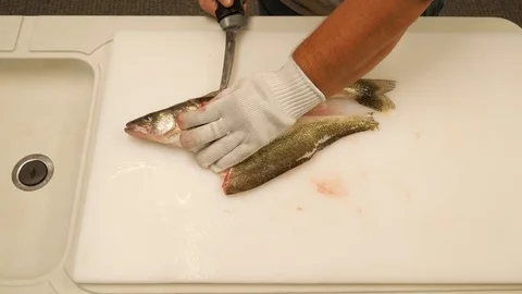 Scaling a fish Stock Footage 77812385