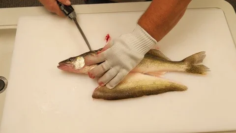 Scaling a fish Stock Footage 77812926