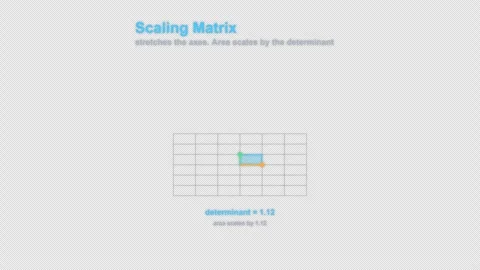 Scaling Matrix Labeled Linear Algebra Animation Animation Alpha 4K 스톡 동영상 339726993