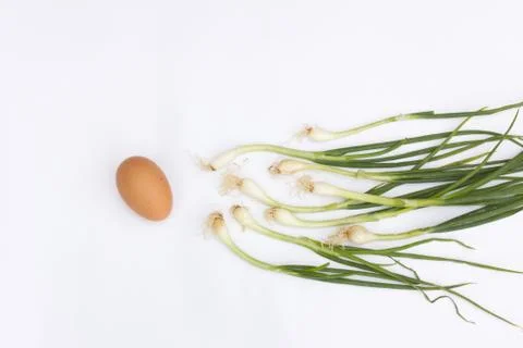Scallion and egg Stock Photos