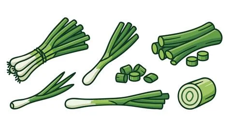 Scallion Green Onion Vector Set Stock Illustration