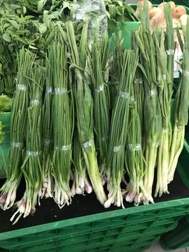 Scallion or spring onion Foto stock